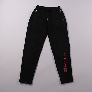 спортивные брюки 2LEGARE